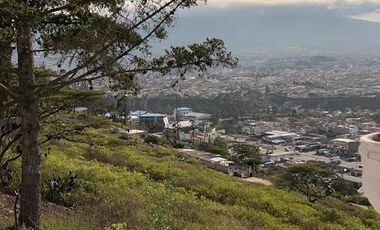 HERMOSA CASA EN VENTA, QUINTA OLIVO ALTO