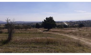 OPORTUNIDAD  2.5 HECTREAS IXTACUIXTLA.TLAXCALA.