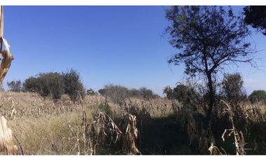 OPORTUNIDAD  2.5 HECTREAS IXTACUIXTLA.TLAXCALA.