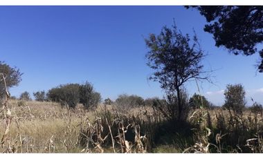 OPORTUNIDAD  2.5 HECTREAS IXTACUIXTLA.TLAXCALA.