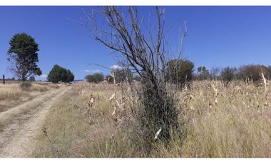 OPORTUNIDAD  2.5 HECTREAS IXTACUIXTLA.TLAXCALA.