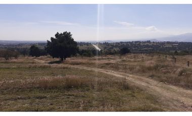 OPORTUNIDAD  2.5 HECTREAS IXTACUIXTLA.TLAXCALA.