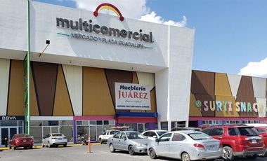 Locales Comerciales en Venta en Multicomercial Guadalupe para Inversionistas