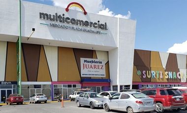 Locales Comerciales en Venta en Multicomercial Guadalupe para Inversionistas