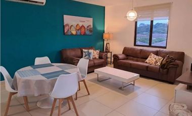 ALQUILO APARTAMENTO CON VISTA A MONTAÑA RIVER VALLEY - HOWARD - $1300