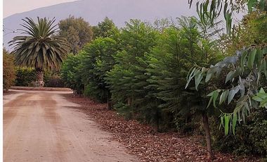 EL MONTE / MELIPILLA