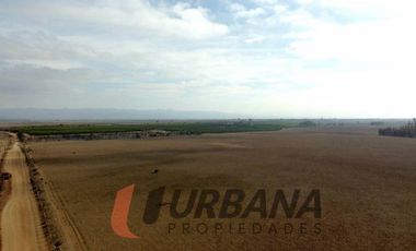 AMPLIO TERRENO EN CERRILLOS DE TAMAYA