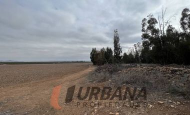 AMPLIO TERRENO EN CERRILLOS DE TAMAYA