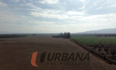 AMPLIO TERRENO EN CERRILLOS DE TAMAYA