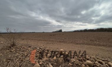 AMPLIO TERRENO EN CERRILLOS DE TAMAYA