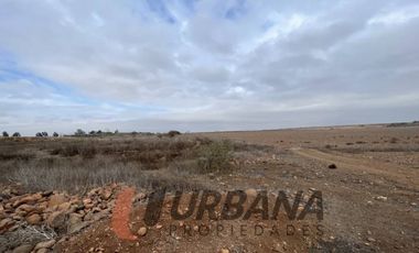 AMPLIO TERRENO EN CERRILLOS DE TAMAYA