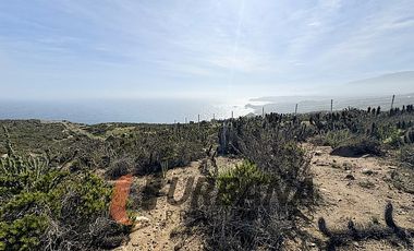 SITIOS EXCLUSIVOS EN MARINA DEL ARRAYAN