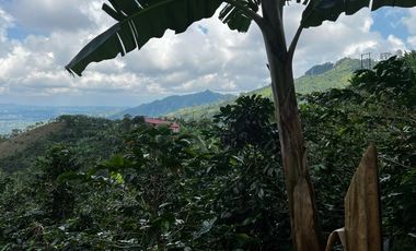 FINCA EN VENTA COMBIA -PEREIRA