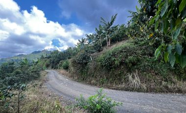 FINCA EN VENTA COMBIA -PEREIRA