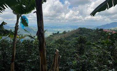 FINCA EN VENTA COMBIA -PEREIRA