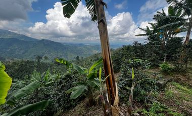 FINCA EN VENTA COMBIA -PEREIRA