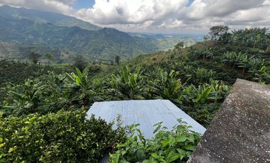FINCA EN VENTA COMBIA -PEREIRA