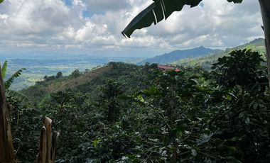 FINCA EN VENTA COMBIA -PEREIRA