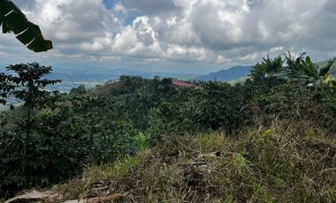 FINCA EN VENTA COMBIA -PEREIRA