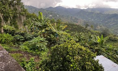 FINCA EN VENTA COMBIA -PEREIRA