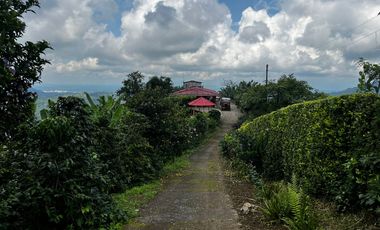 FINCA EN VENTA COMBIA -PEREIRA