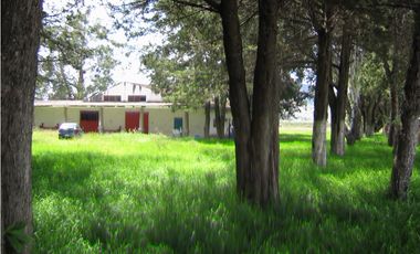 Terreno En Venta Precio De Remate  Carret Amozoc Cerca Autodromo