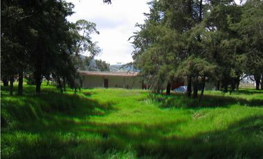 Terreno En Venta Precio De Remate  Carret Amozoc Cerca Autodromo