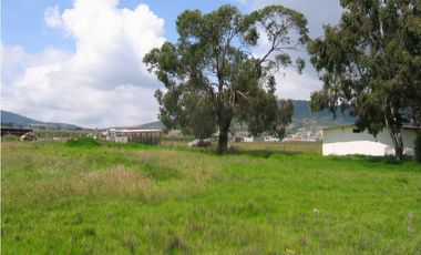 Terreno En Venta Precio De Remate  Carret Amozoc Cerca Autodromo