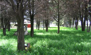 Terreno En Venta Precio De Remate  Carret Amozoc Cerca Autodromo