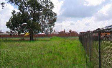 Terreno En Venta Precio De Remate  Carret Amozoc Cerca Autodromo