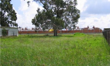 Terreno En Venta Precio De Remate  Carret Amozoc Cerca Autodromo