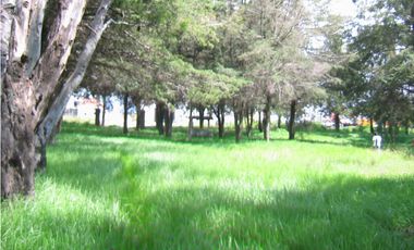 Terreno En Venta Precio De Remate  Carret Amozoc Cerca Autodromo