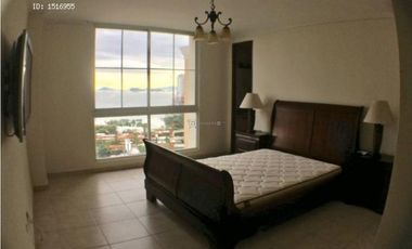 ALQUILER APTO EN PUNTA PACIFICA