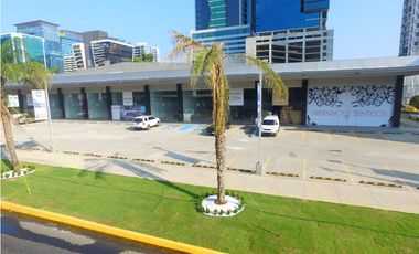 LOCAL 260 MTS Y 520 MTS PLAZA CENTRO MALL