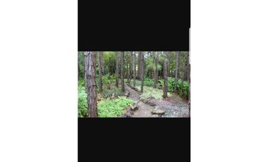 VENTA CASA EN ALTOS DEL MARA MONTAÑA