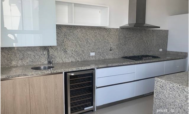 APARTAMENTO COSTA DEL ESTE 358MT  PH ARIA