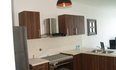 SE ALQUILA APARTAMENTO EN PH OASIS IN THE BAY