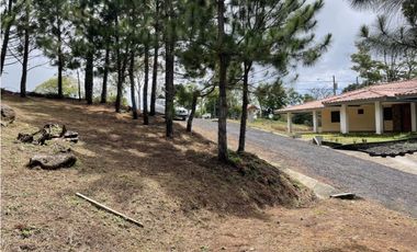 SE VENDE TERRENO EN ALTOS DEL MARIA POR BUENA VISTA 3828 M2