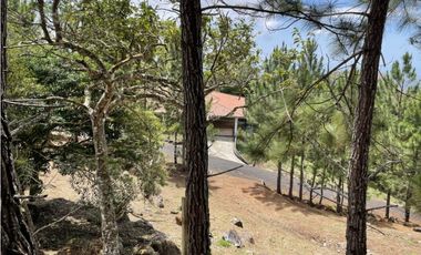 SE VENDE TERRENO EN ALTOS DEL MARIA POR BUENA VISTA 3828 M2