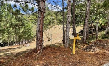 SE VENDE TERRENO EN ALTOS DEL MARIA POR BUENA VISTA 3828 M2