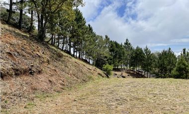 SE VENDE TERRENO EN ALTOS DEL MARIA POR BUENA VISTA 3828 M2