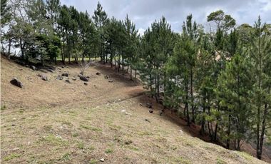 SE VENDE TERRENO EN ALTOS DEL MARIA POR BUENA VISTA 3828 M2