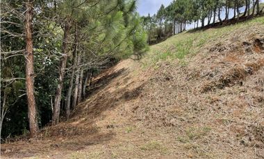 SE VENDE TERRENO EN ALTOS DEL MARIA POR BUENA VISTA 3828 M2