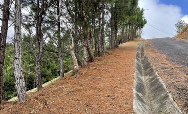 SE VENDE TERRENO EN ALTOS DEL MARIA POR BUENA VISTA 3828 M2