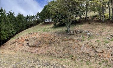 SE VENDE TERRENO EN ALTOS DEL MARIA POR BUENA VISTA 3828 M2