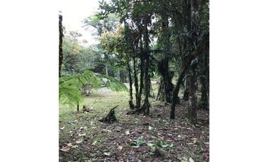 SE VENDE TERRENO EN ALTOS DEL MARIA EN BOSQUE NUBOSO 3068.16 m2