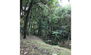 SE VENDE TERRENO EN ALTOS DEL MARIA EN BOSQUE NUBOSO 3068.16 m2
