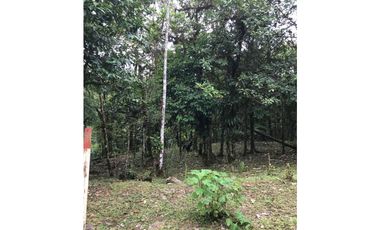 SE VENDE TERRENO EN ALTOS DEL MARIA EN BOSQUE NUBOSO 3068.16 m2