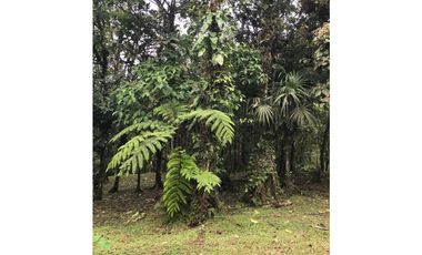 SE VENDE TERRENO EN ALTOS DEL MARIA EN BOSQUE NUBOSO 3068.16 m2