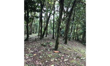 SE VENDE TERRENO EN ALTOS DEL MARIA EN BOSQUE NUBOSO 3068.16 m2